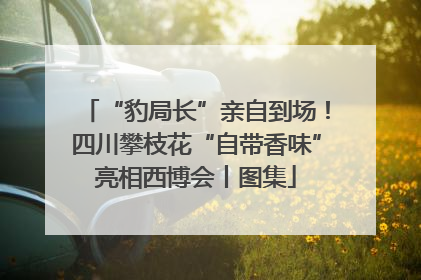 “豹局长”亲自到场！四川攀枝花“自带香味”亮相西博会丨图集