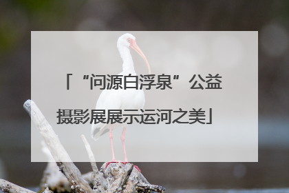 “问源白浮泉”公益摄影展展示运河之美