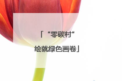 “零碳村” 绘就绿色画卷