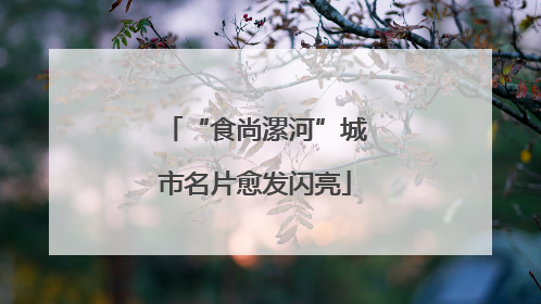 “食尚漯河”城市名片愈发闪亮