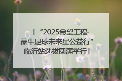 “2025希望工程·蒙牛足球未来星公益行”临沂站选拔圆满举行