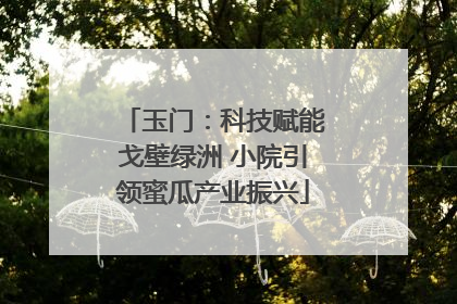 玉门：科技赋能戈壁绿洲 小院引领蜜瓜产业振兴