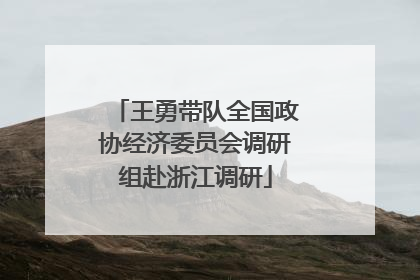 王勇带队全国政协经济委员会调研组赴浙江调研