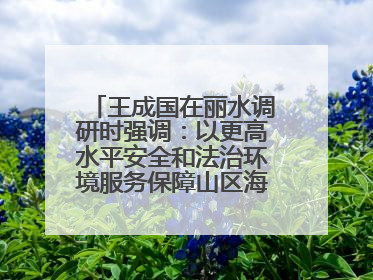 王成国在丽水调研时强调：以更高水平安全和法治环境服务保障山区海岛县高质量发展