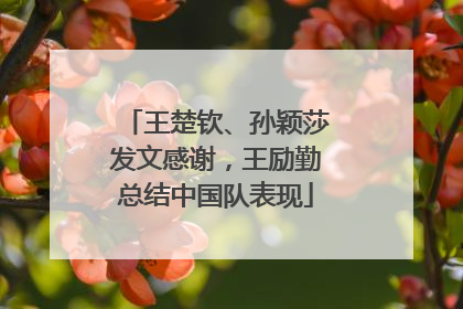 王楚钦、孙颖莎发文感谢，王励勤总结中国队表现