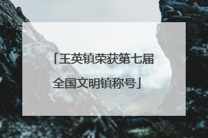 王英镇荣获第七届全国文明镇称号