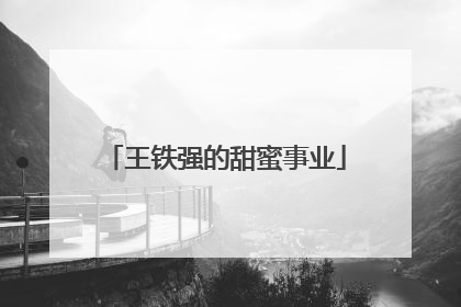 王铁强的甜蜜事业
