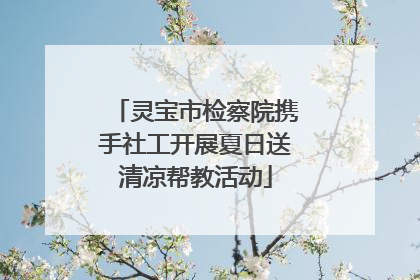 灵宝市检察院携手社工开展夏日送清凉帮教活动