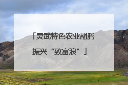灵武特色农业翻腾振兴“致富浪”
