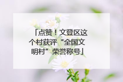 点赞！文登区这个村获评“全国文明村”荣誉称号