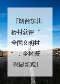 烟台东北桥村获评“全国文明村”：乡村振兴展新貌