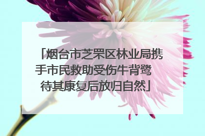 烟台市芝罘区林业局携手市民救助受伤牛背鹭 待其康复后放归自然