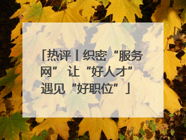 热评丨织密“服务网” 让“好人才”遇见“好职位”