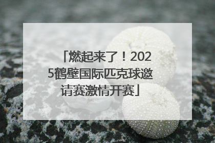 燃起来了！2025鹤壁国际匹克球邀请赛激情开赛
