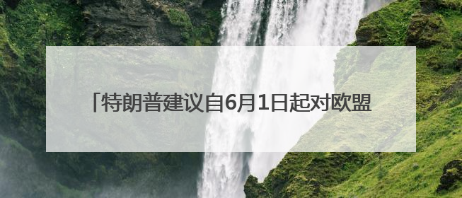 特朗普建议自6月1日起对欧盟征收50%的关税，欧盟回应