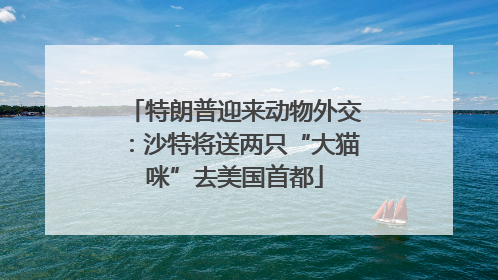 特朗普迎来动物外交：沙特将送两只“大猫咪”去美国首都