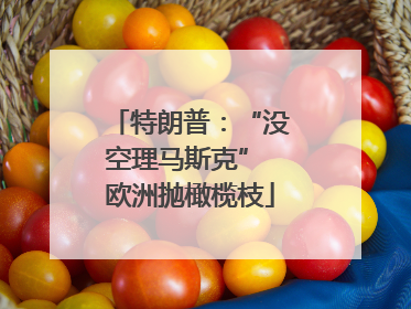 特朗普：“没空理马斯克” 欧洲抛橄榄枝