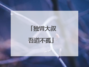 独臂大叔 吾道不孤