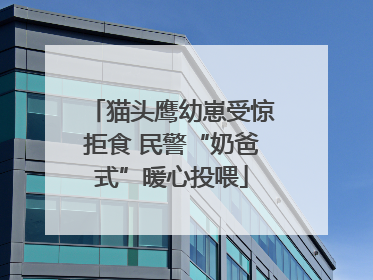 猫头鹰幼崽受惊拒食 民警“奶爸式”暖心投喂