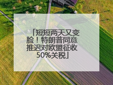 短短两天又变脸！特朗普同意推迟对欧盟征收50%关税