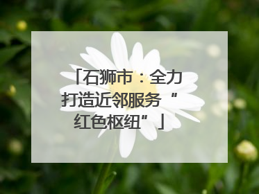 石狮市：全力打造近邻服务“红色枢纽”