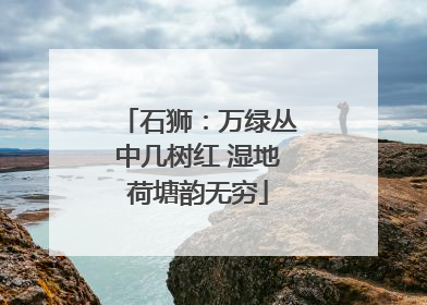 石狮：万绿丛中几树红 湿地荷塘韵无穷