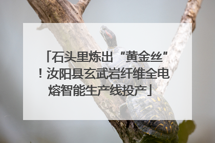 石头里炼出“黄金丝”！汝阳县玄武岩纤维全电熔智能生产线投产