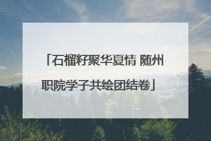 石榴籽聚华夏情 随州职院学子共绘团结卷