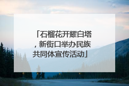 石榴花开耀白塔，新街口举办民族共同体宣传活动