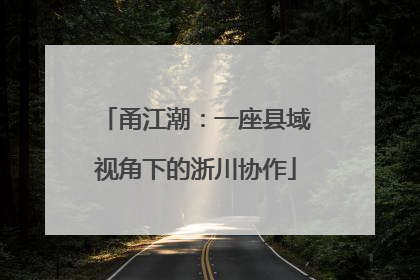 甬江潮：一座县域视角下的浙川协作