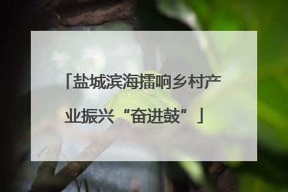 盐城滨海擂响乡村产业振兴“奋进鼓”