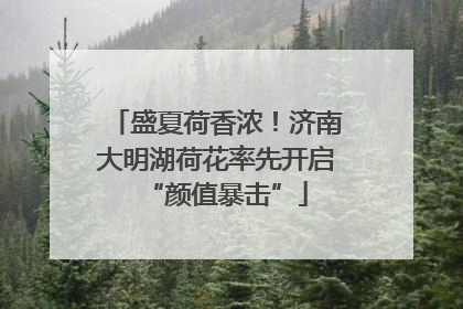 盛夏荷香浓！济南大明湖荷花率先开启“颜值暴击”