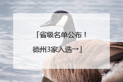 省级名单公布！德州3家入选→