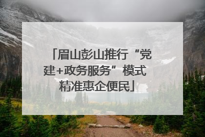 眉山彭山推行“党建+政务服务”模式 精准惠企便民