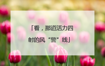 看，那道活力四射的风“警”线