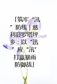 筑牢“汛”防线｜慈利县罗塔坪乡：以“迅”应“汛” 打赢暴雨防御战