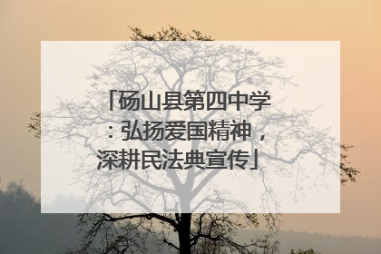 砀山县第四中学：弘扬爱国精神，深耕民法典宣传