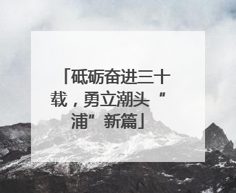 砥砺奋进三十载，勇立潮头“浦”新篇