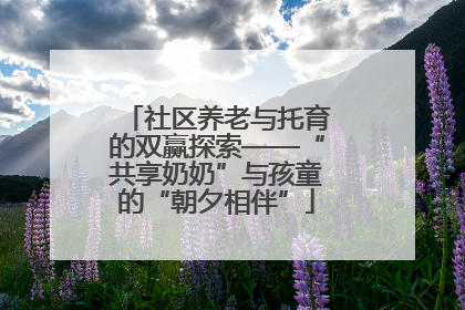 社区养老与托育的双赢探索——“共享奶奶”与孩童的“朝夕相伴”