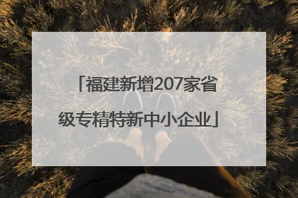 福建新增207家省级专精特新中小企业
