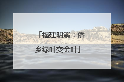 福建明溪：侨乡绿叶变金叶
