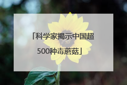 科学家揭示中国超500种毒蘑菇
