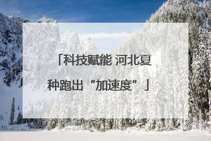 科技赋能 河北夏种跑出“加速度”