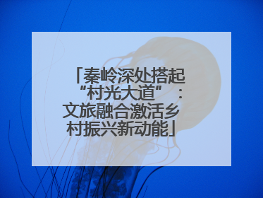秦岭深处搭起“村光大道”：文旅融合激活乡村振兴新动能