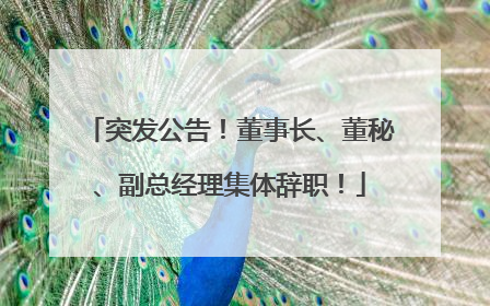 突发公告！董事长、董秘、副总经理集体辞职！