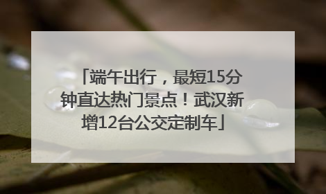端午出行，最短15分钟直达热门景点！武汉新增12台公交定制车