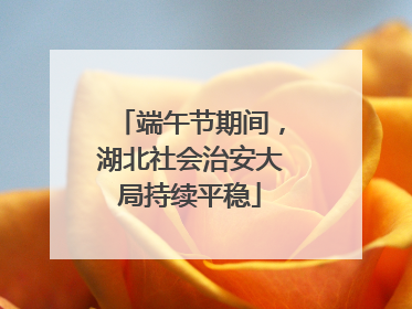 端午节期间，湖北社会治安大局持续平稳