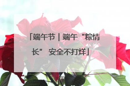 端午节｜端午“粽情长” 安全不打烊