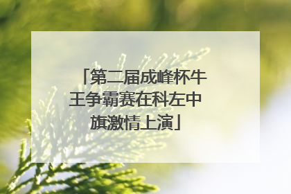 第二届成峰杯牛王争霸赛在科左中旗激情上演