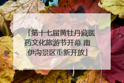 第十七届黄牡丹藏医药文化旅游节开幕 南伊沟景区重新开放